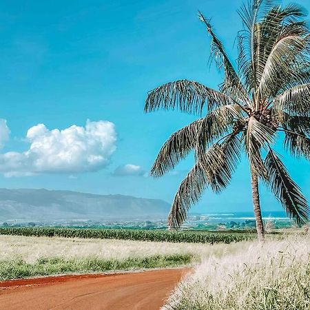 Cute Off Grid Glampsite With Wifi- 5 Min From Haleiwa Town酒店 外观 照片