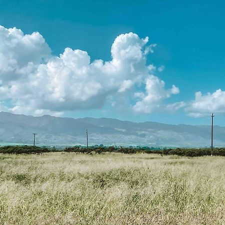 Cute Off Grid Glampsite With Wifi- 5 Min From Haleiwa Town酒店 外观 照片
