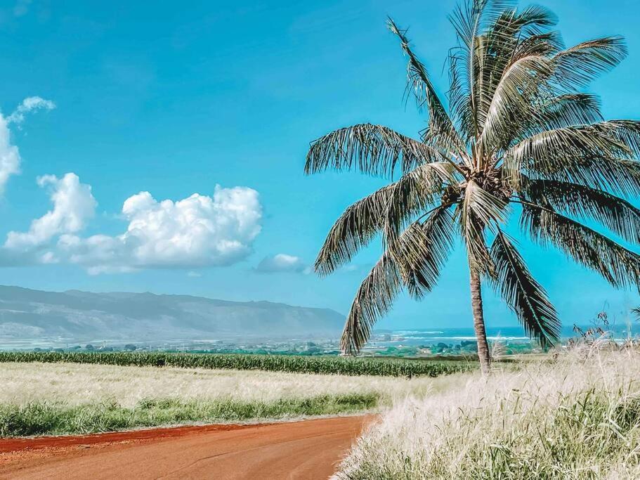 Cute Off Grid Glampsite With Wifi- 5 Min From Haleiwa Town酒店 外观 照片