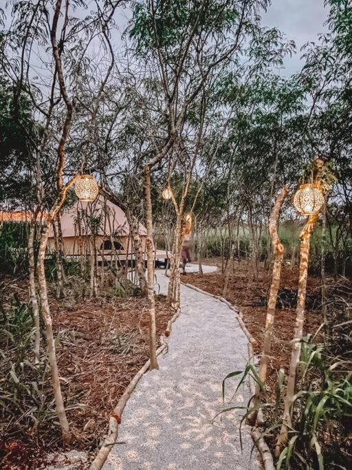 Cute Off Grid Glampsite With Wifi- 5 Min From Haleiwa Town酒店 外观 照片
